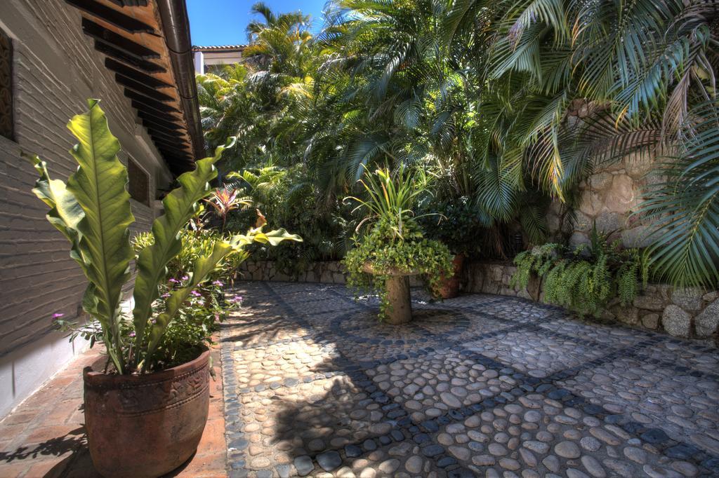 Villa Celeste Пуэрто-Вальярта Экстерьер фото